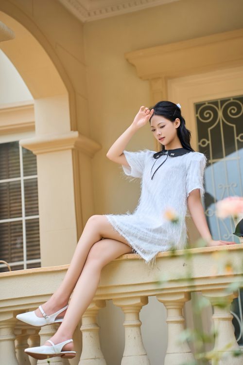 Váy Đầm Tay Ngắn Đính Lông Vũ
