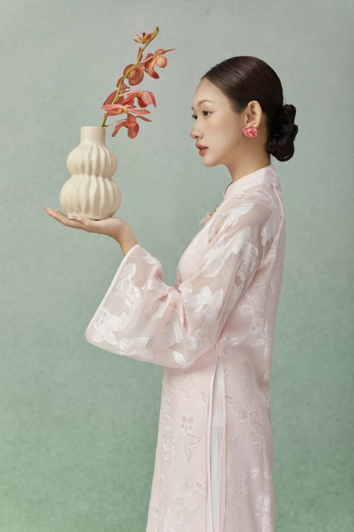Áo Dài Hồng Diễm